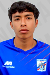 Gordillo